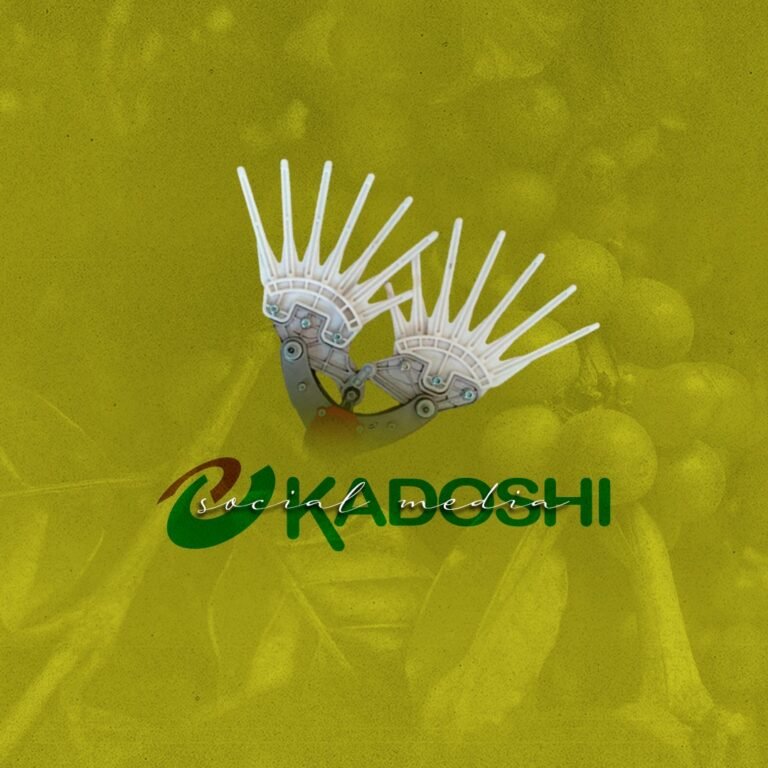 Social Media – Kadoshi